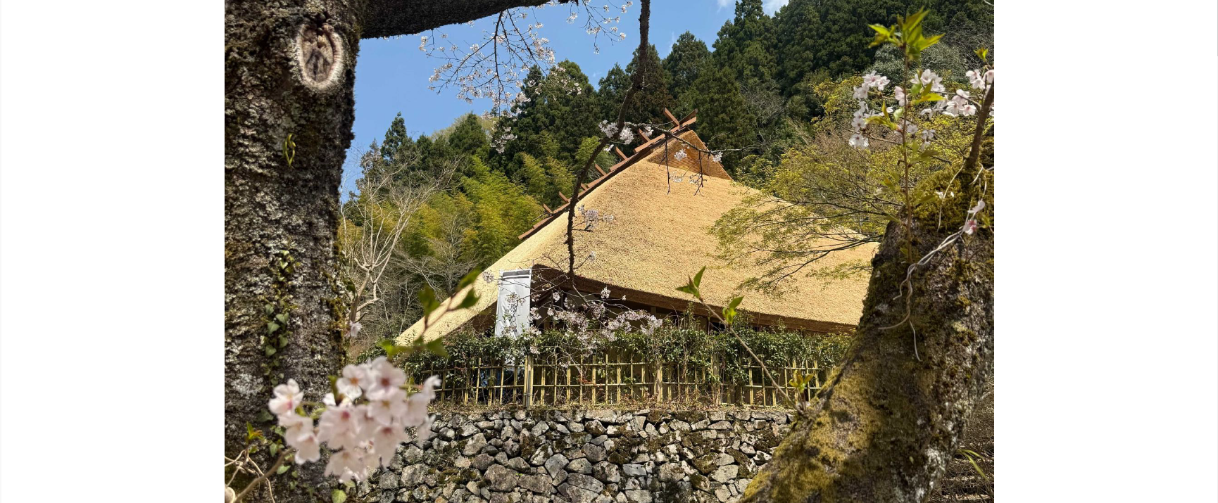 重源の郷へようこそ！！